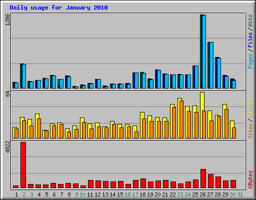 Daily usage for January 2010
