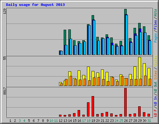 Daily usage for August 2013