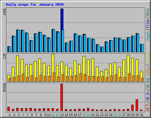 Daily usage for January 2020