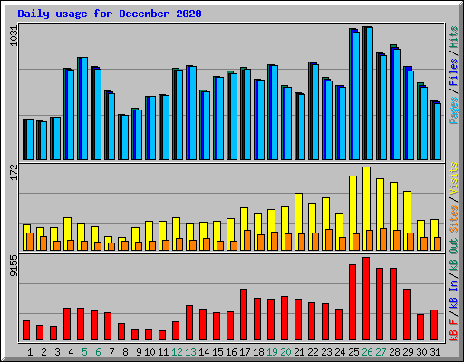 Daily usage for December 2020