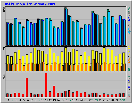 Daily usage for January 2021