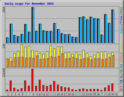 Daily usage for November 2021