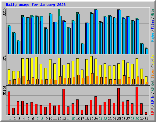 Daily usage for January 2023
