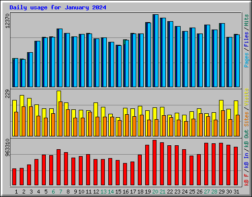 Daily usage for January 2024