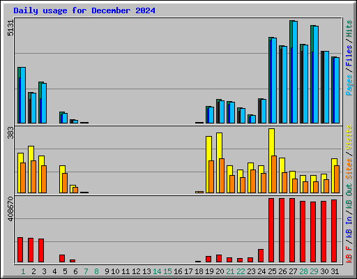 Daily usage for December 2024