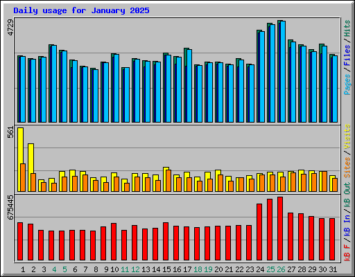 Daily usage for January 2025