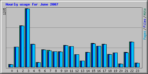 Hourly usage for June 2007