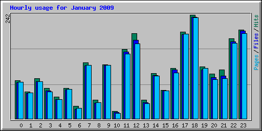 Hourly usage for January 2009