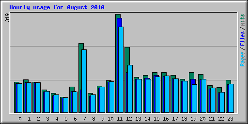 Hourly usage for August 2010