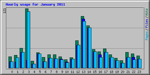 Hourly usage for January 2011