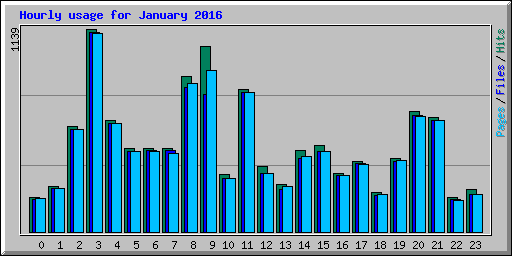 Hourly usage for January 2016