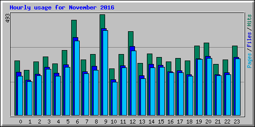 Hourly usage for November 2016