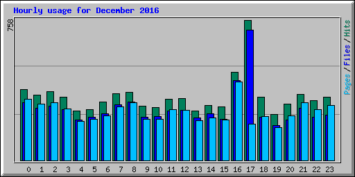 Hourly usage for December 2016