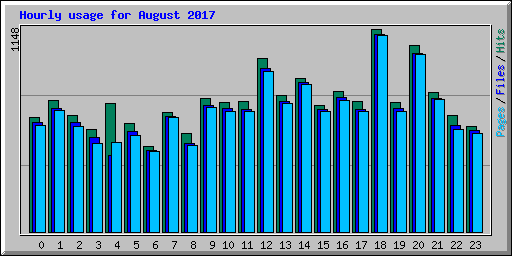 Hourly usage for August 2017