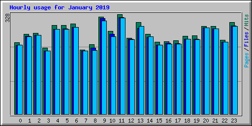 Hourly usage for January 2019
