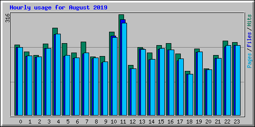 Hourly usage for August 2019