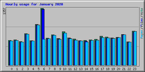 Hourly usage for January 2020