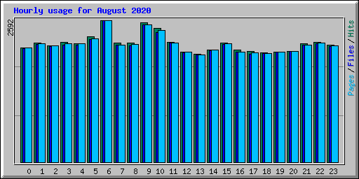 Hourly usage for August 2020