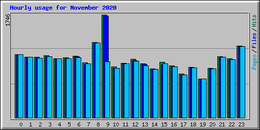 Hourly usage for November 2020