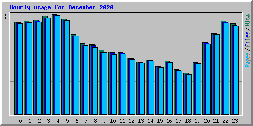 Hourly usage for December 2020