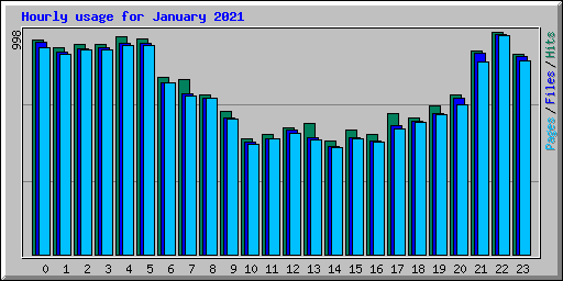 Hourly usage for January 2021