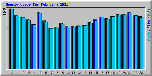 Hourly usage for February 2021