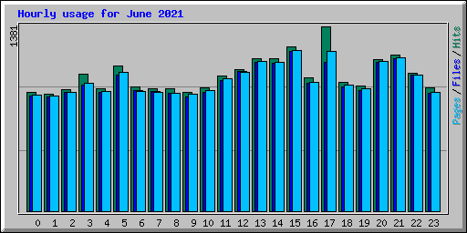 Hourly usage for June 2021