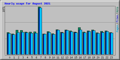 Hourly usage for August 2021
