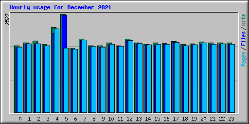 Hourly usage for December 2021