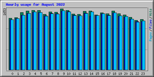 Hourly usage for August 2022