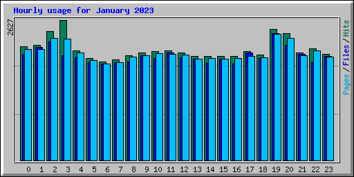 Hourly usage for January 2023