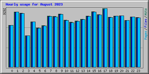 Hourly usage for August 2023