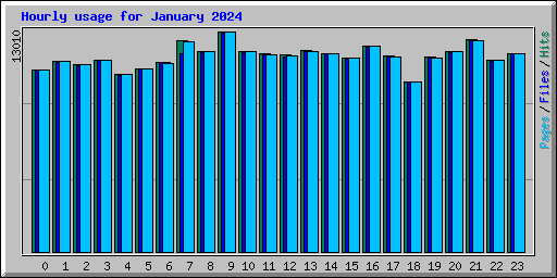Hourly usage for January 2024