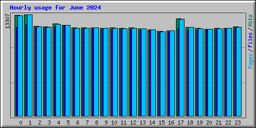 Hourly usage for June 2024