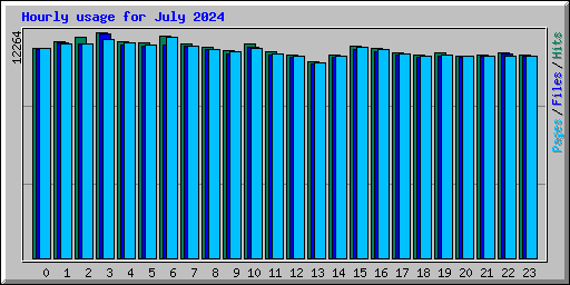 Hourly usage for July 2024