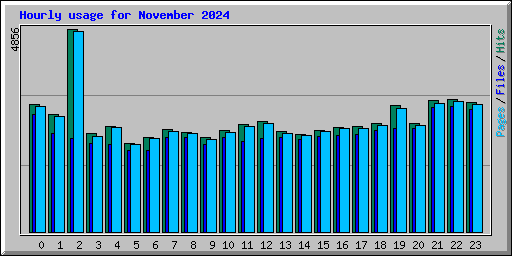 Hourly usage for November 2024