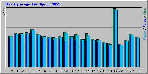 Hourly usage for April 2025