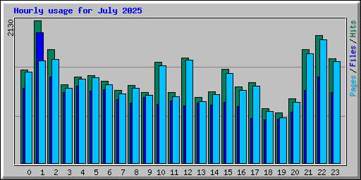 Hourly usage for July 2025