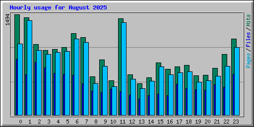 Hourly usage for August 2025