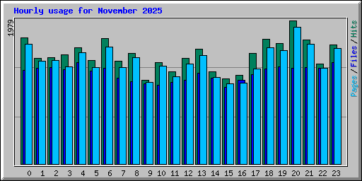 Hourly usage for November 2025