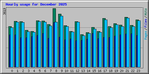 Hourly usage for December 2025
