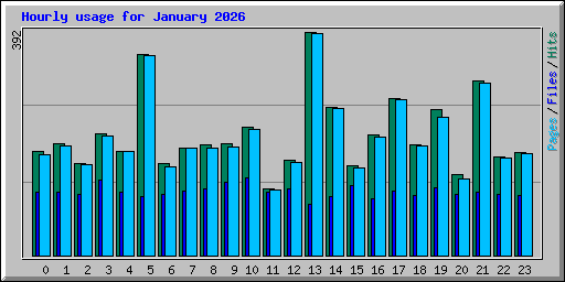 Hourly usage for January 2026