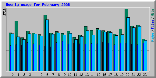 Hourly usage for February 2026